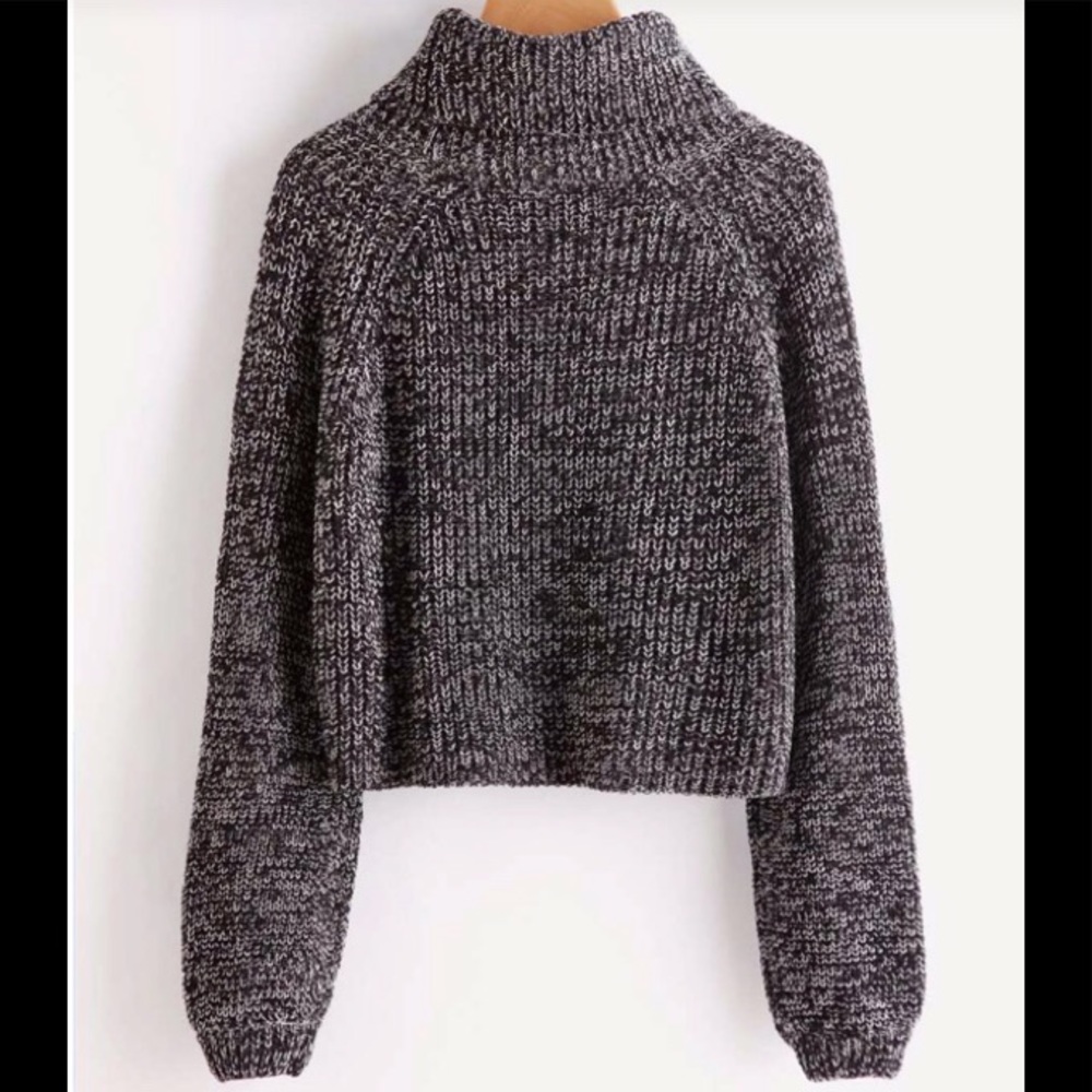 Shein roll neck raglan sleeve marked knit sweater
